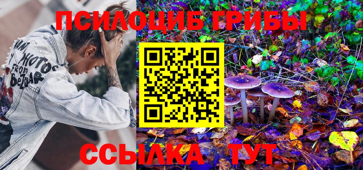 Галлюциногенные грибы Cubensis Каменка